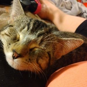 Meet your Posher, Ciera